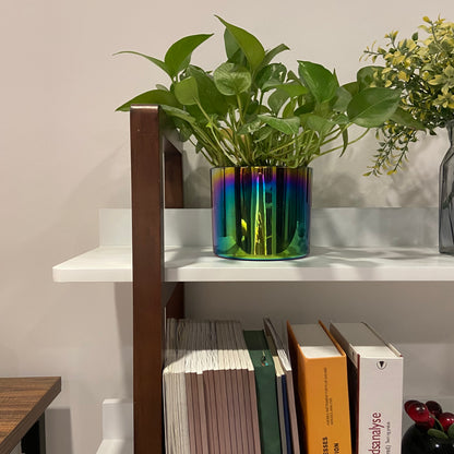 GLSCASA Multifuction Bookcase with Solid Wood Frame,Mix Color Plant Standing for Home Decro
