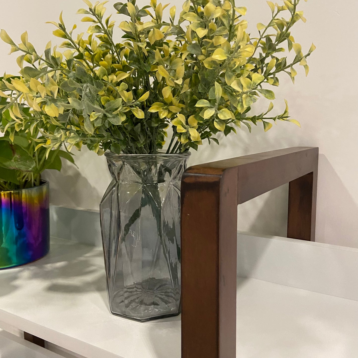 GLSCASA Multifuction Bookcase with Solid Wood Frame,Mix Color Plant Standing for Home Decro