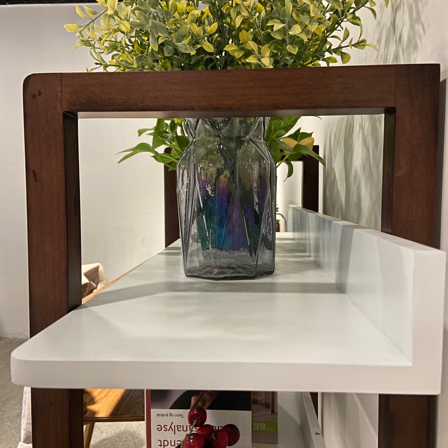 GLSCASA Multifuction Bookcase with Solid Wood Frame,Mix Color Plant Standing for Home Decro