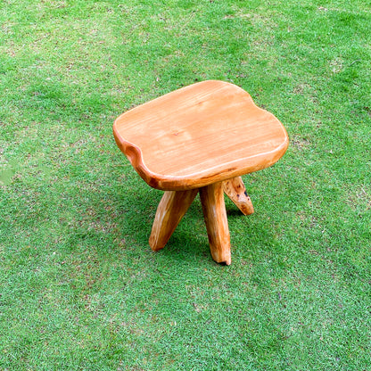 Tree Stump Side Table Natural Edge Cedar Real Wood End Table,Small Wooden Mushroom Stool, Indoor/Outdoor