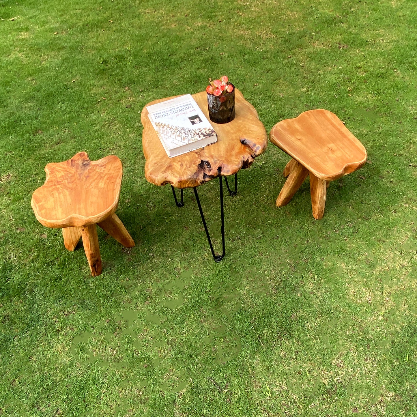 Tree Stump Side Table Natural Edge Cedar Real Wood End Table,Small Wooden Mushroom Stool, Indoor/Outdoor